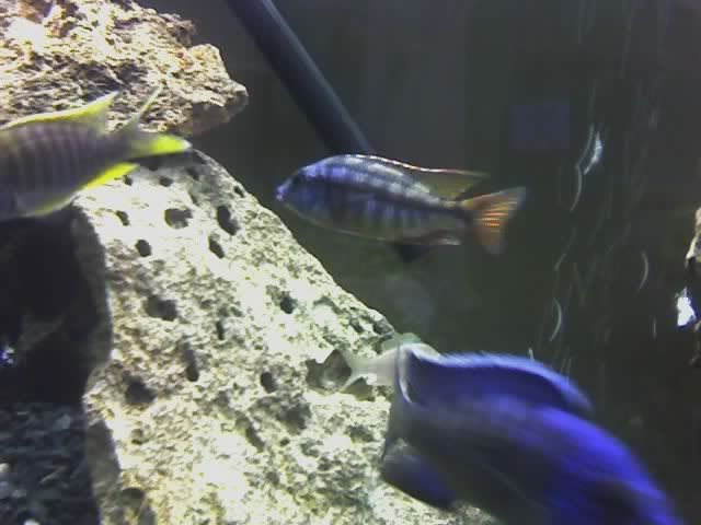 08-24-06_1612-1.jpg