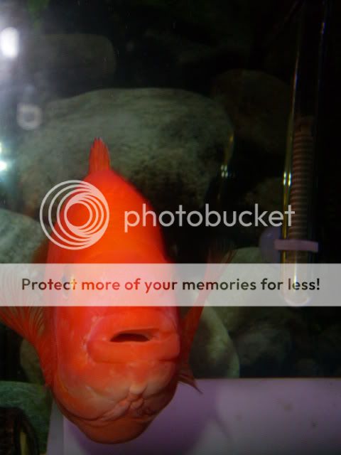 Picture049.jpg