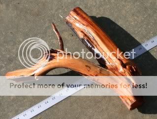 DSCN3115.jpg