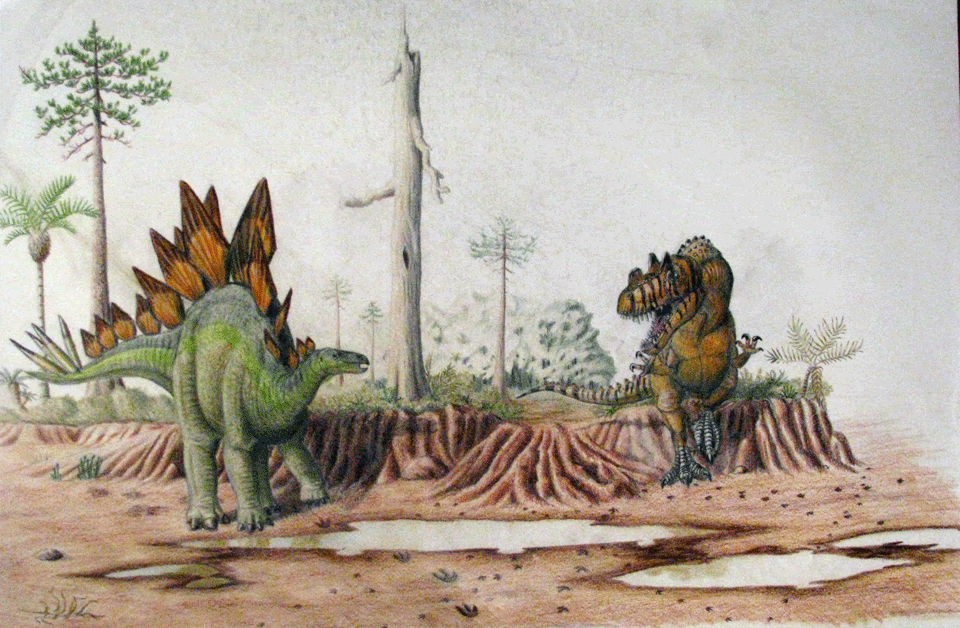 Stegosaurus-vs-Ceratosaurus.gif