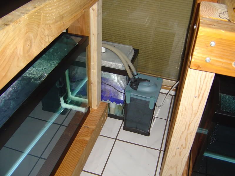 4-28-08007.jpg