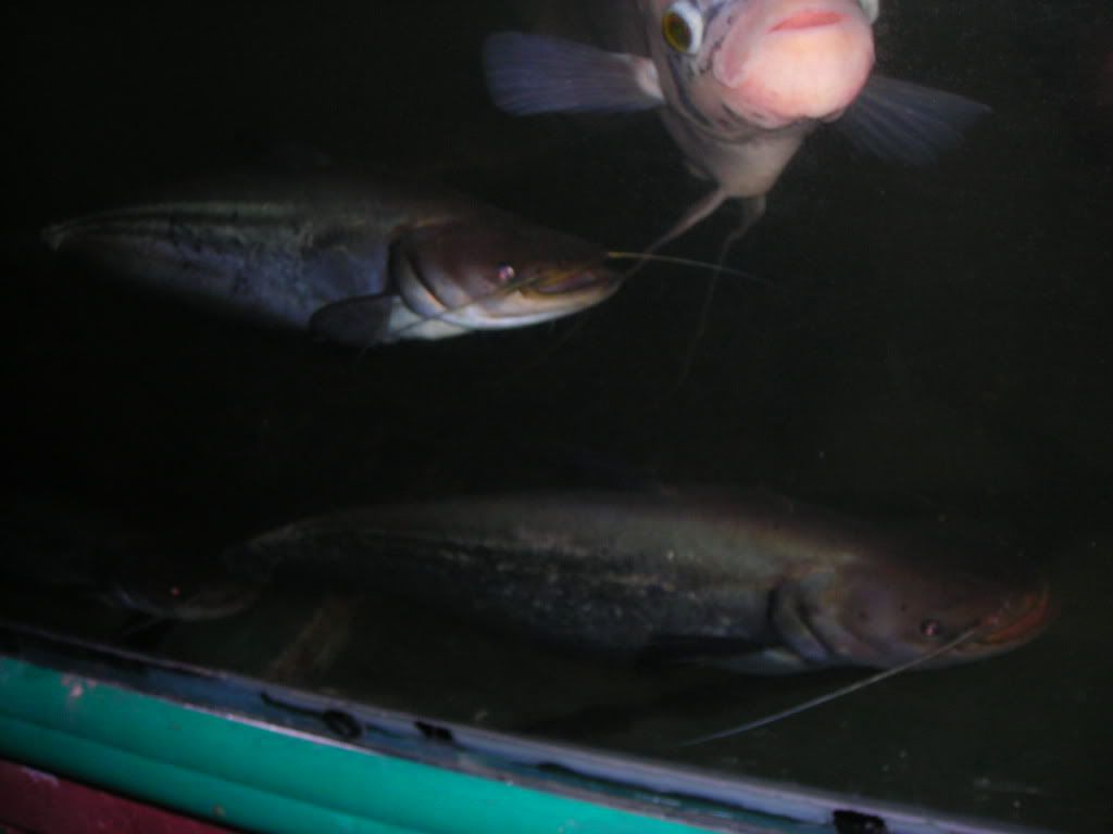 DSCN0957.jpg