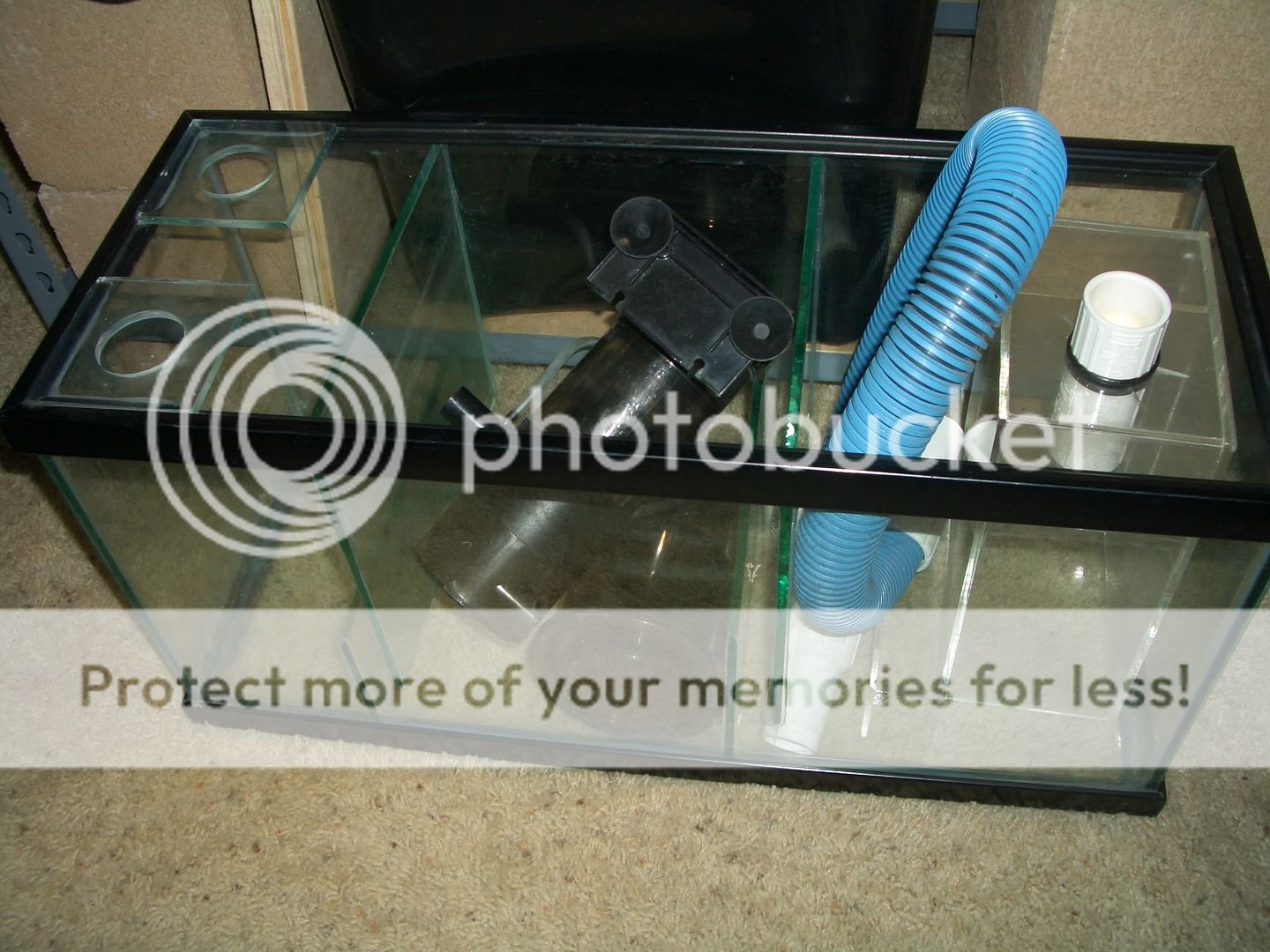 Eheim Classic 2217 w/hoses & media, 10 gal sump w/protein skimmer CA