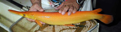 4998091016_b389f456f6.jpg