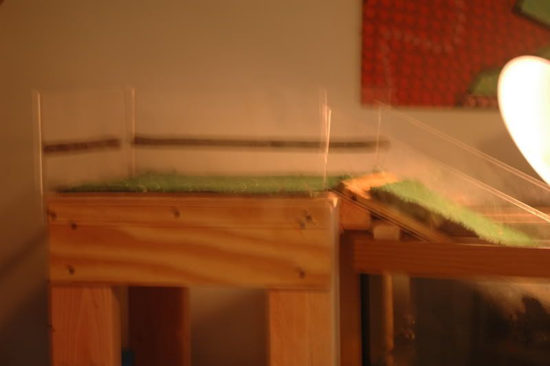 DSC_0003.jpg