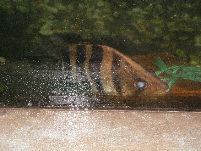 PICT0600.jpg