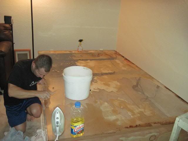 IMG_1250.jpg