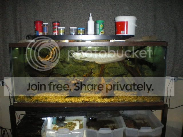IMGP0056.jpg