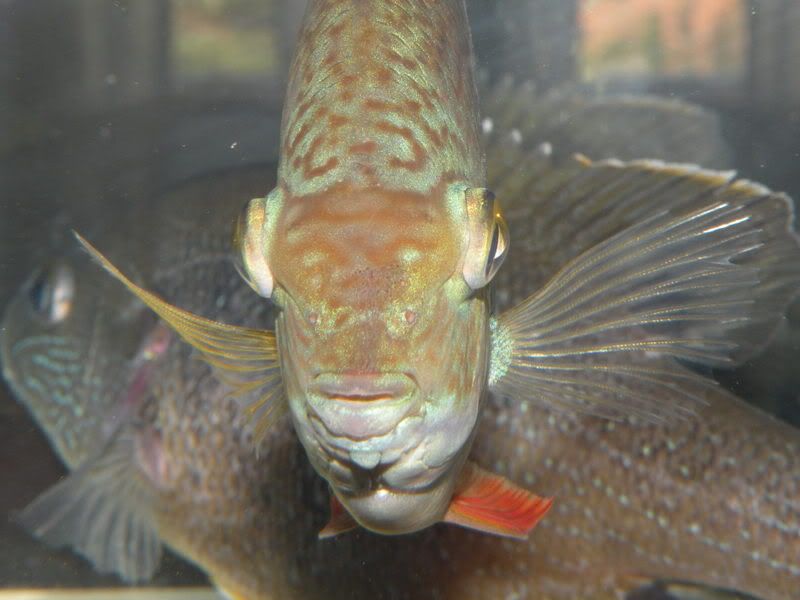 DSCN1777.jpg