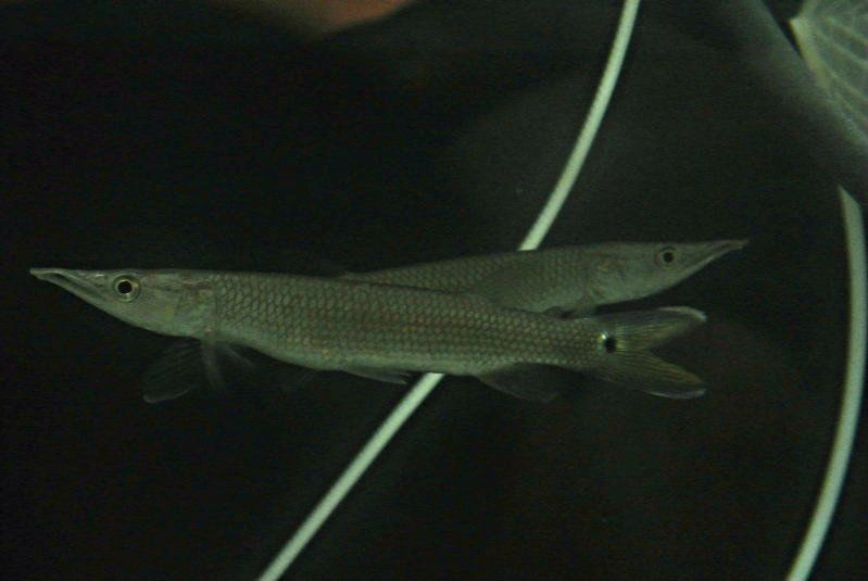 DSC_0495.jpg