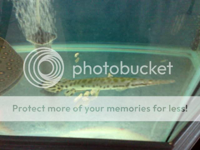 220420091093.jpg
