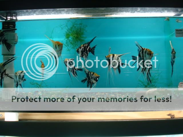 DSC05799.jpg
