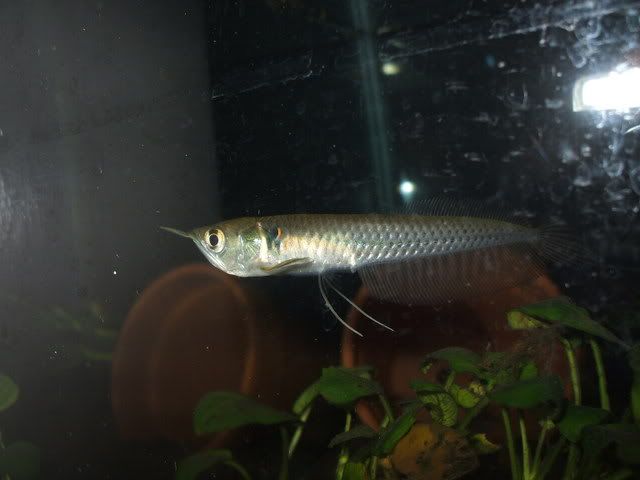 DSCF1991.jpg