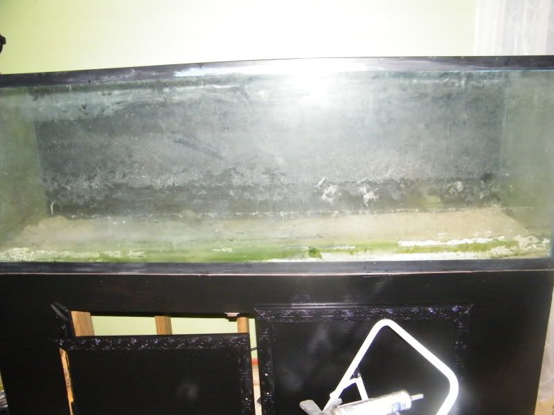 DSCF0779.jpg