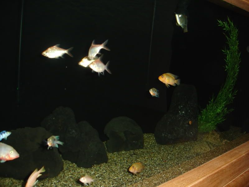 DSC02713.jpg
