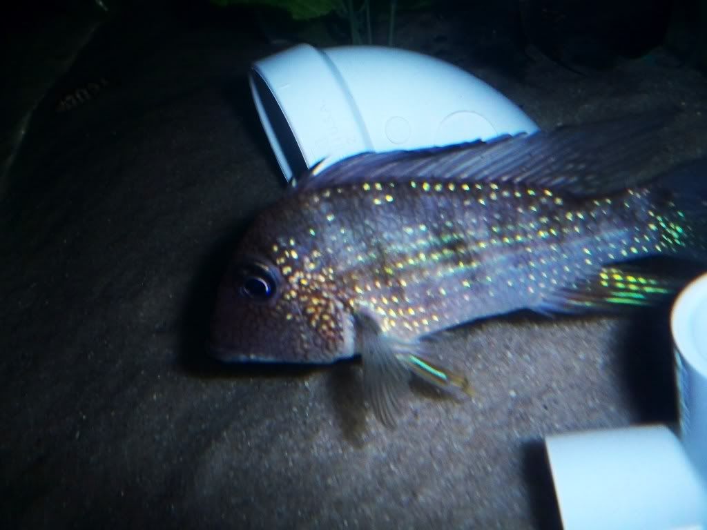 100_4025.jpg