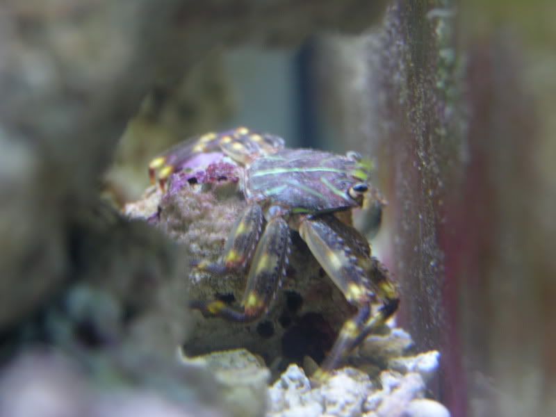 DSCN7157.jpg