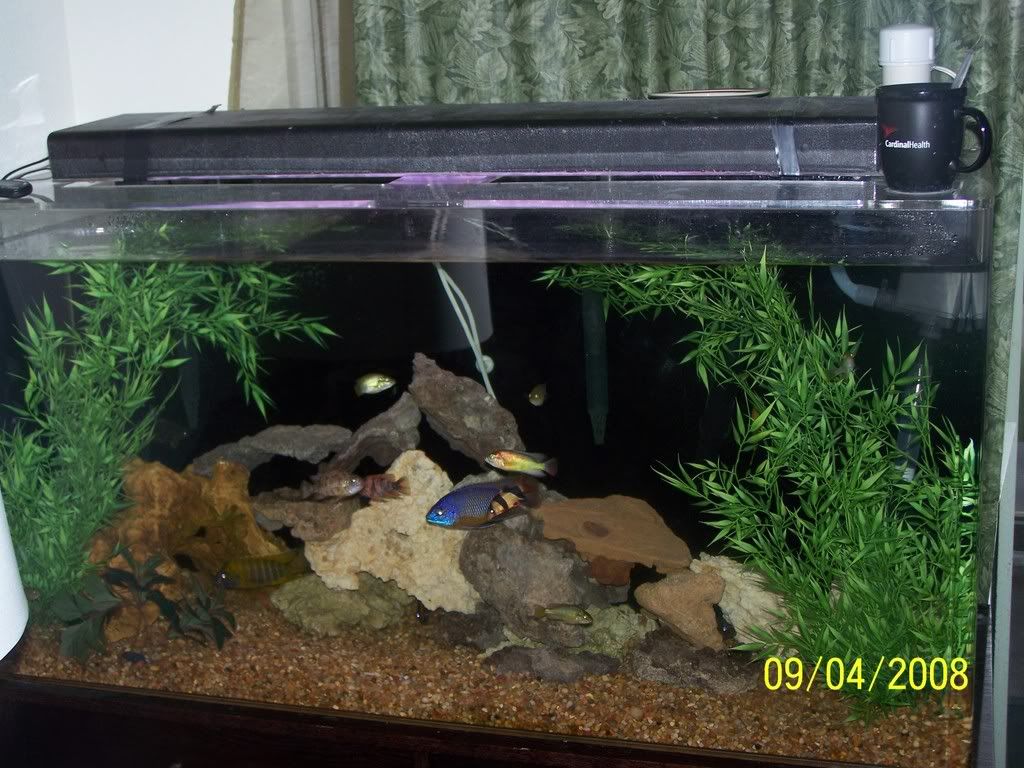 100_1136.jpg