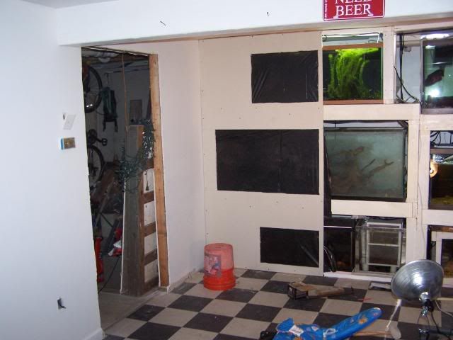 fishwall1003.jpg