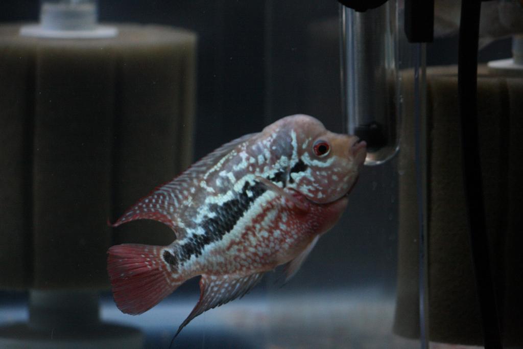 s3TOzkC.jpg