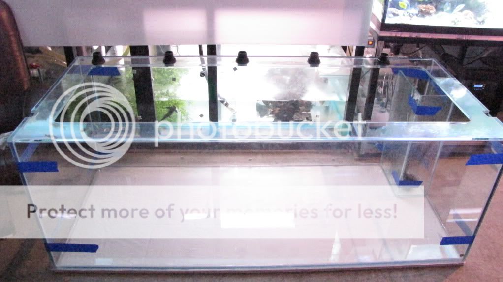 mynewtank030.jpg