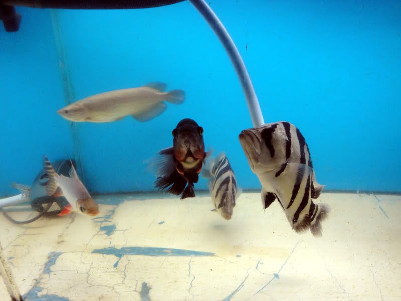 DSC00029_edited.jpg