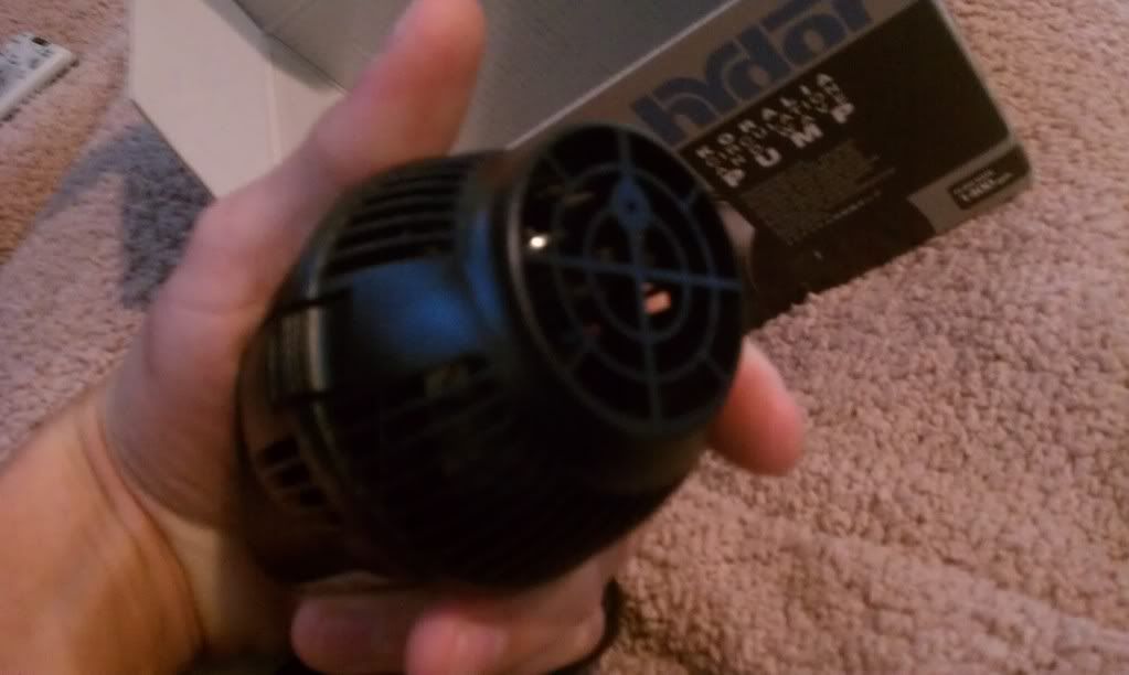 IMAG1199_zps66eb3677.jpg