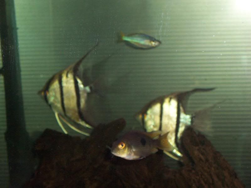 100_6024.jpg