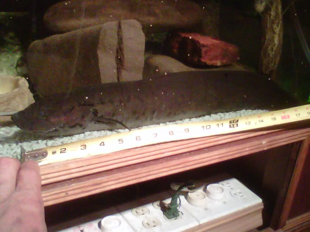 IMG00210-20110427-2144.jpg