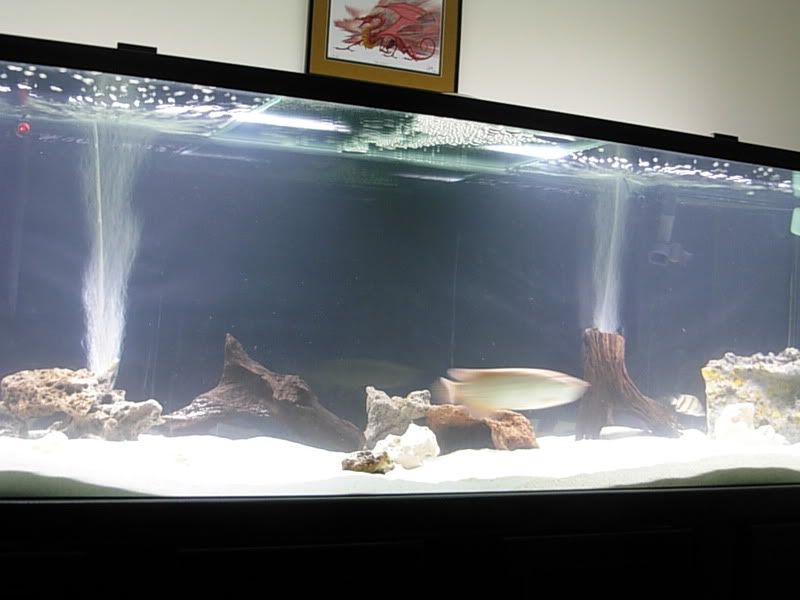 DSCN1276.jpg