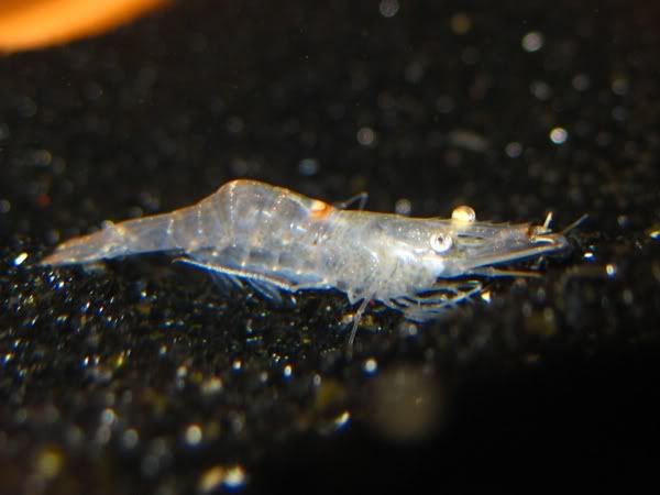 IMG_3821.jpg