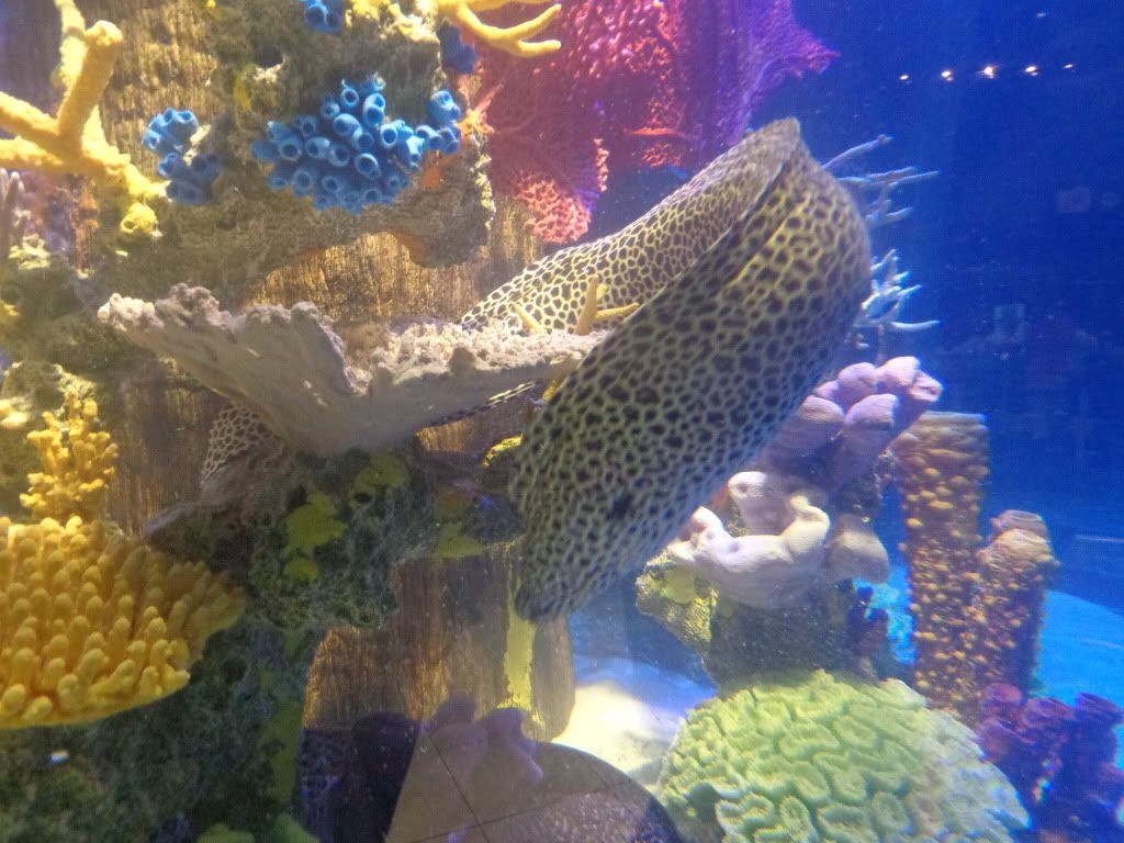 DSC01247.jpg