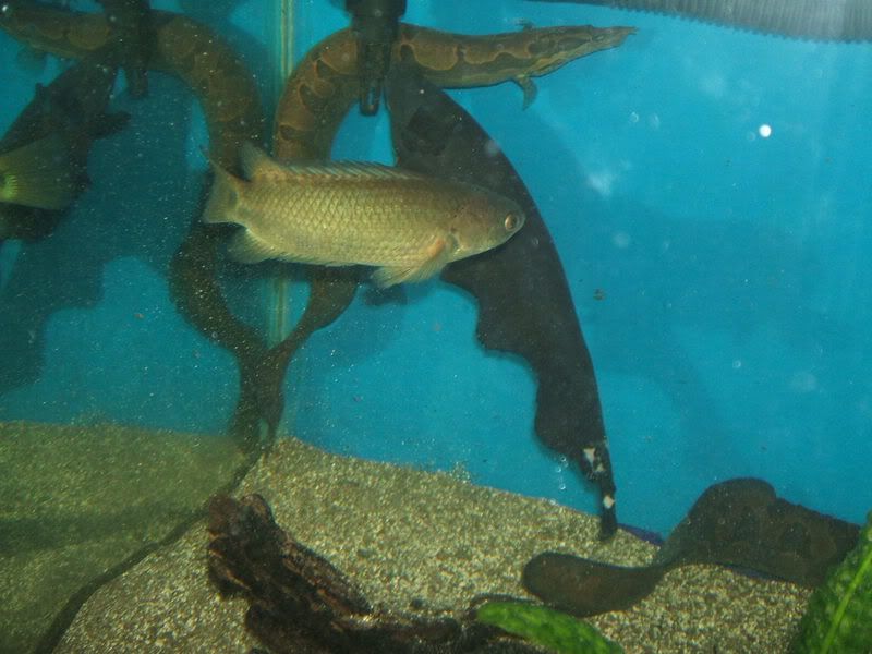 DSCF1557.jpg