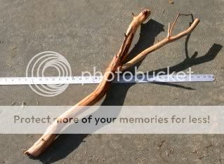 DSCN3120.jpg