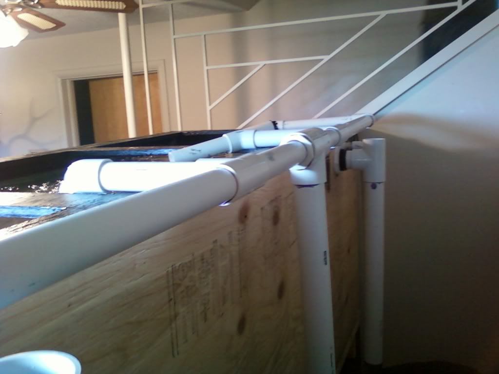 1Photo0296.jpg