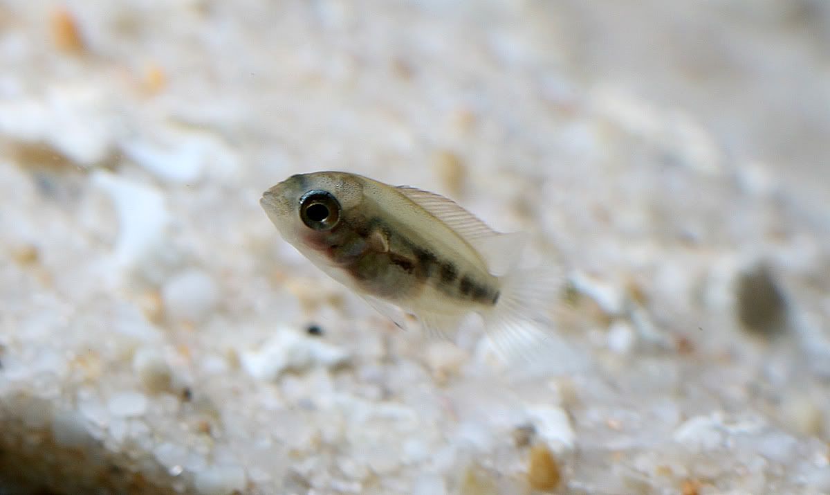 aIMG_0266.jpg