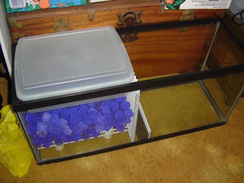 4-19-08003.jpg