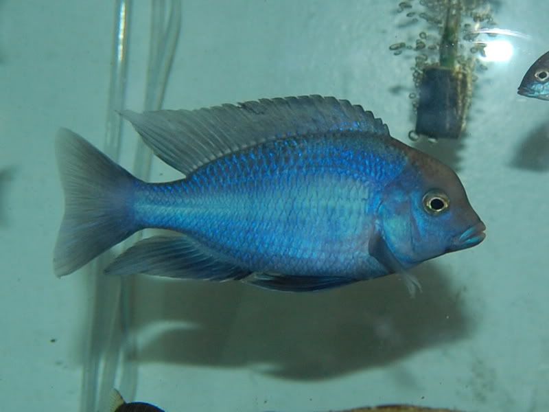 April2008017.jpg