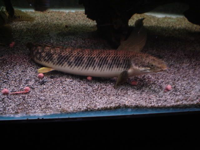 DSC08726.jpg