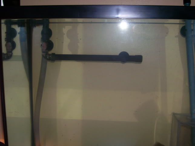 100_0603.jpg