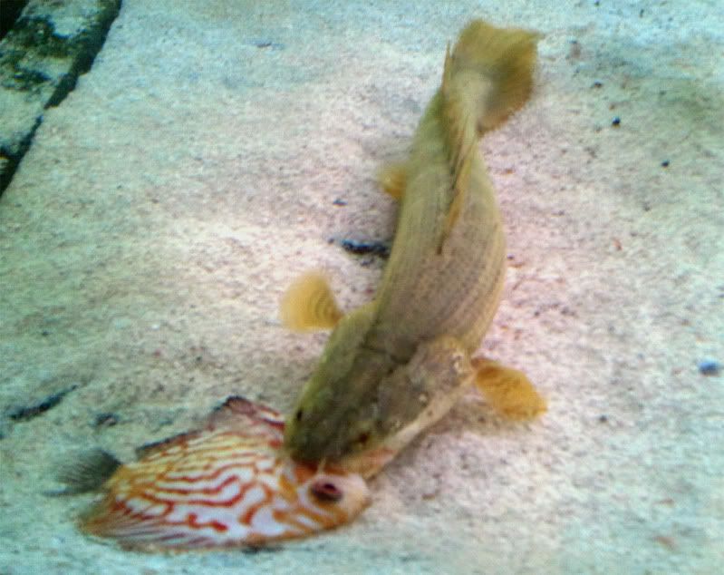 2011-05-11081521.jpg