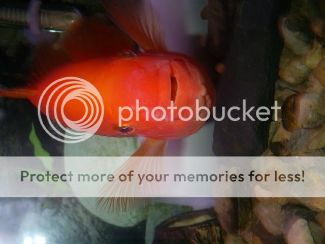 Picture047.jpg