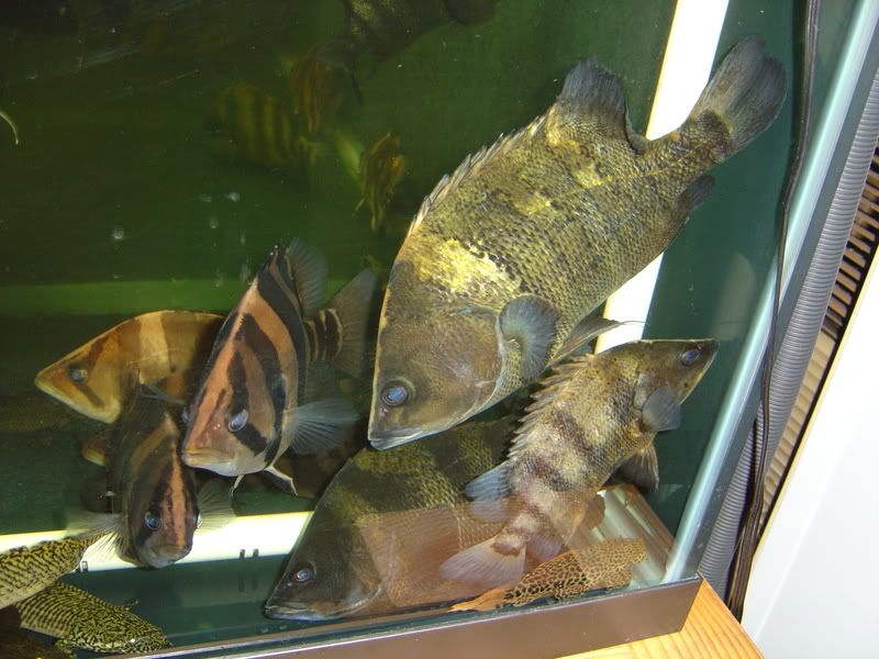 10-18-08033.jpg