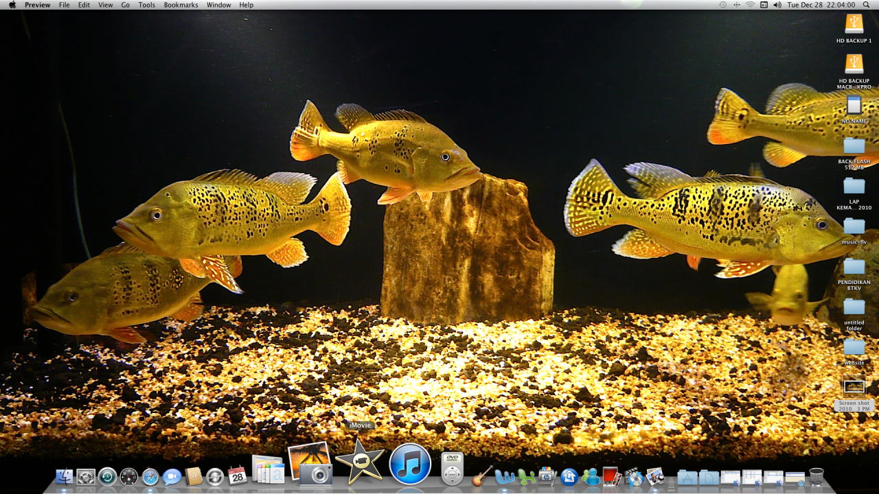 Screenshot2010-12-28at100400PM.png