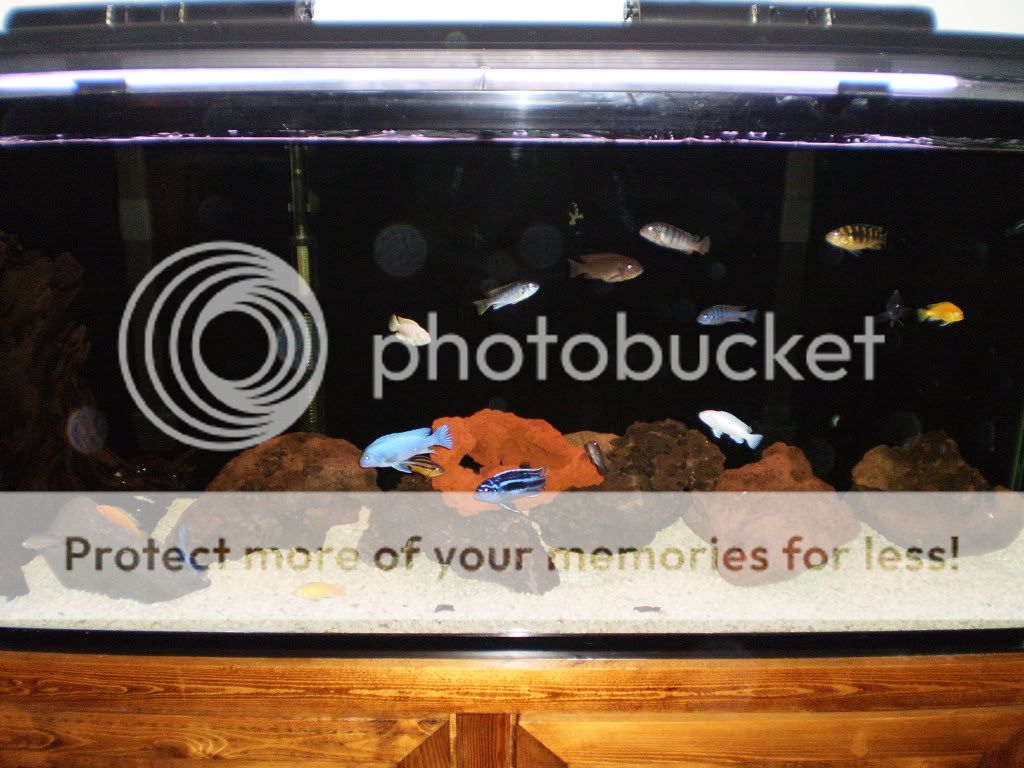 Fish046.jpg