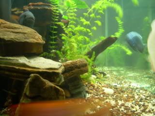 DSCN1320.jpg