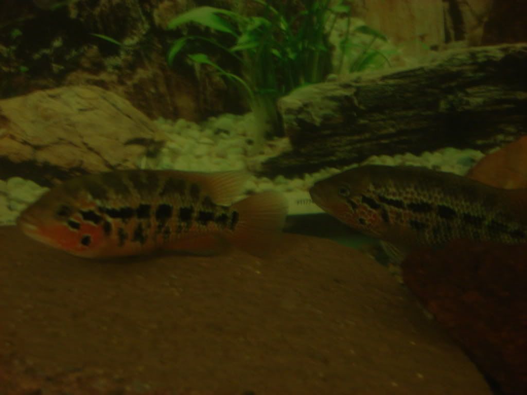 DSC01617.jpg