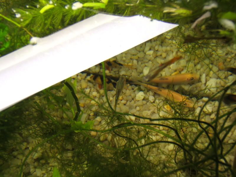 DSCF0552.jpg