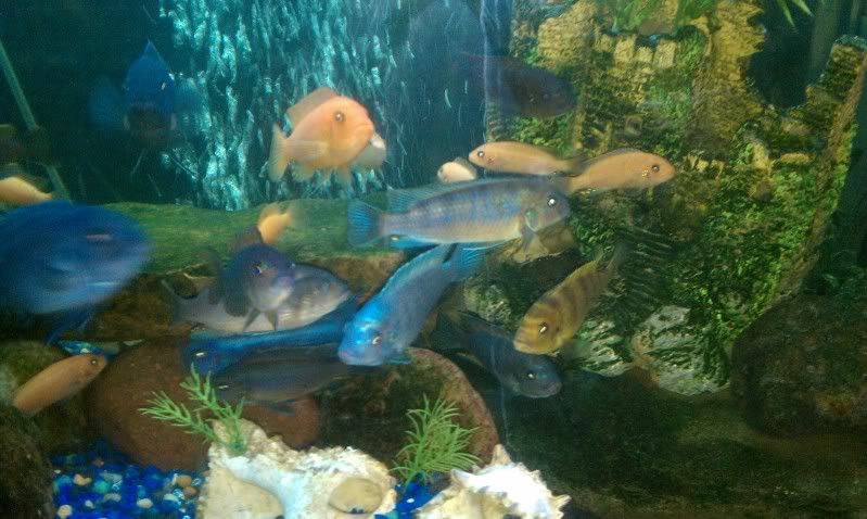 IMAG0472.jpg