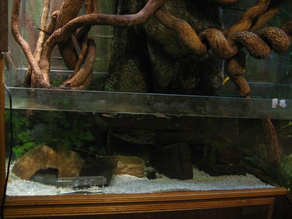 habitatandvids039.jpg